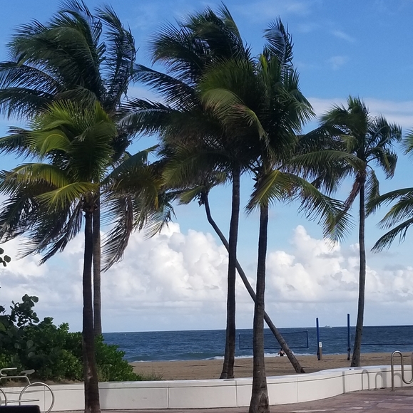 Meet PoshAmbassador, Jenga - Picture 11 of 16